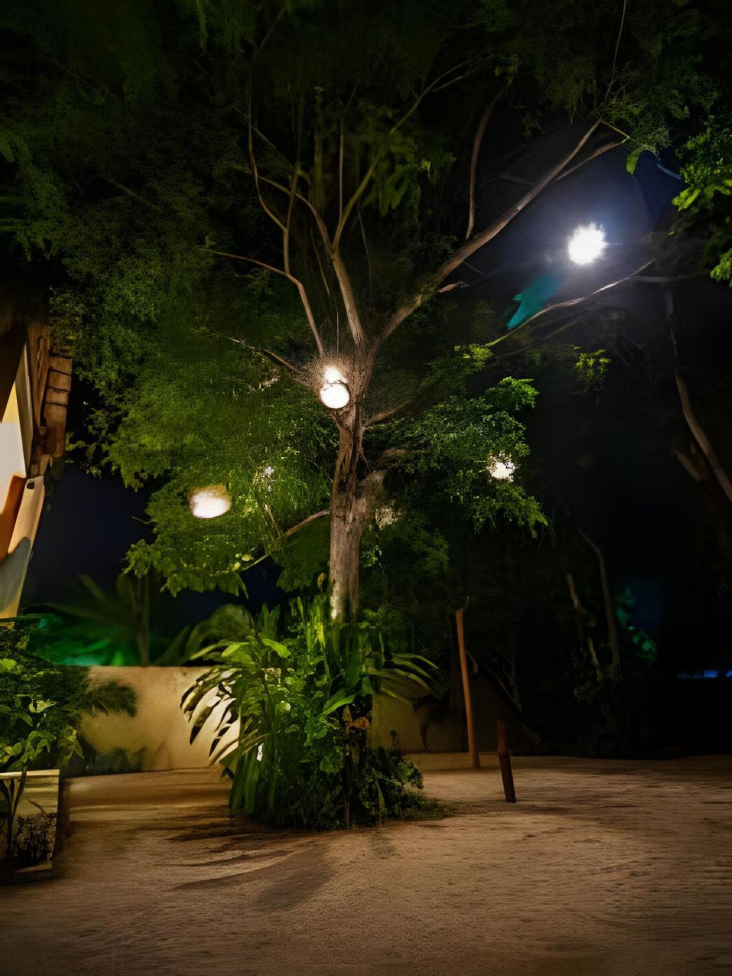 Casa De Piedra - Departamentos Bacalar- Daire Dış mekan fotoğraf